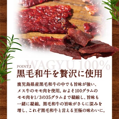 【 期間限定 生活応援 】鹿児島県産黒毛和牛モモ赤身ビーフジャーキー　K098-008