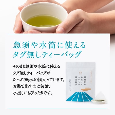 茶問屋の鹿児島茶ティーバッグ 5本　K112-008