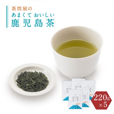 茶問屋の鹿児島茶 5本セット　K112-006