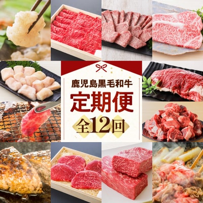 【全12回】鹿児島黒毛和牛定期便　K130-T01
