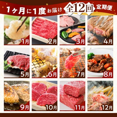 【全12回】鹿児島黒毛和牛定期便　K130-T01