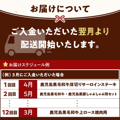 【全12回】鹿児島黒毛和牛&鹿児島黒豚定期便　K130-T01