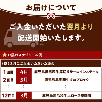 【全12回】鹿児島黒毛和牛定期便　K130-T01
