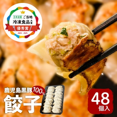 【日本全国!ご当地冷凍食品大賞 2024-2025 優秀賞受賞!】鹿児島黒豚100%餃子 48個入り