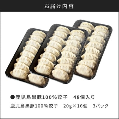 【 生活応援 +うんまか生餃子1P 付き 】 期間限定 鹿児島黒豚100%餃子 48個入り