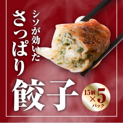 【14営業日以内に発送】 鹿児島黒豚博多一口餃子・シソ餃子　150個　K025-004