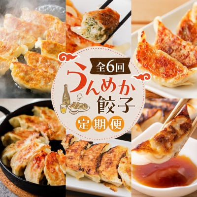 【全6回】うんめか餃子定期便　K000-T2311
