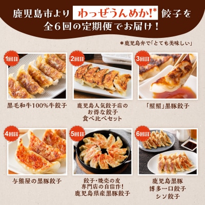 【全6回】うんめか餃子定期便　K000-T2311
