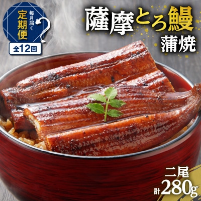 【全12回定期便】薩摩とろ鰻蒲焼二尾　K190-T02