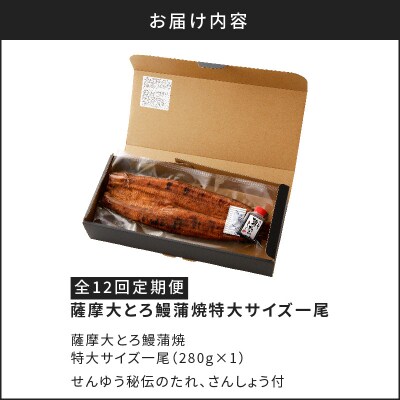 【全12回定期便】薩摩大とろ鰻蒲焼特大サイズ一尾　K190-T04