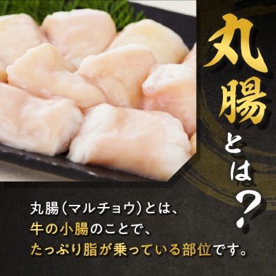 【期間限定】黒毛和牛丸腸(ホルモン)300g入り×3パック　K130-015