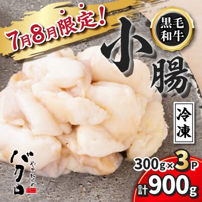 【期間限定】黒毛和牛小腸(ホルモン)300g入り×3パック　K130-016