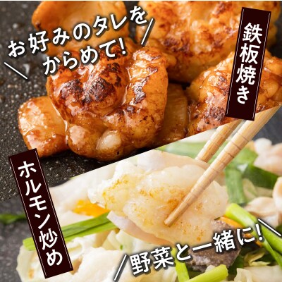【期間限定】黒毛和牛小腸(ホルモン)300g入り×3パック　K130-016