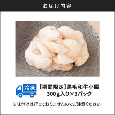 【期間限定】黒毛和牛小腸(ホルモン)300g入り×3パック　K130-016