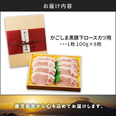 かごしま黒豚 下ロースカツ用　8枚入り　K146-005