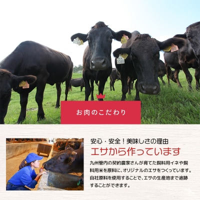 【人気部位ミスジ!】A5等級黒毛和牛ミスジステーキ400g　K002-045