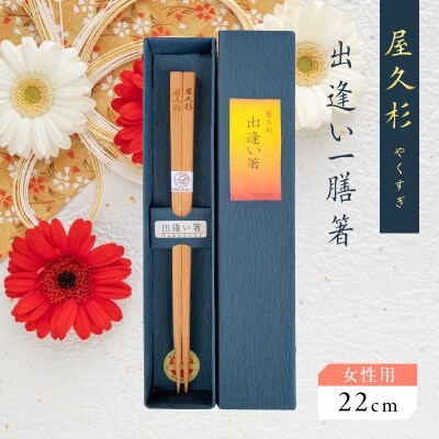 屋久杉 出逢い一膳箸 女性用(22cm)　K042-007_1