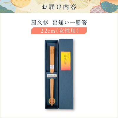 屋久杉 出逢い一膳箸 女性用(22cm)　K042-007_1