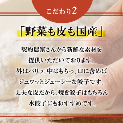 鹿児島黒豚使用の黒豚餃子 96個　K202-001