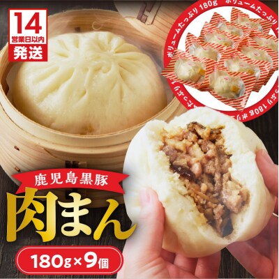 【14営業日以内に発送】 鹿児島黒豚肉まん　K025-005