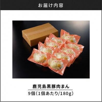 【14営業日以内に発送】 鹿児島黒豚肉まん　K025-005