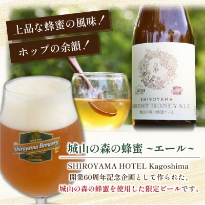 城山ゑびす さつま揚げ詰合せ　城山の蜂蜜エールのだれやめセット　K096-013