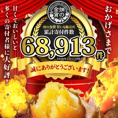 畑の金貨 焼き芋安納芋 1kg　K181-002_02