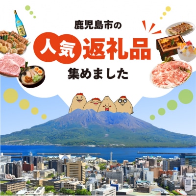 【12ヶ月定期便】おうちごはん応援!お肉のおかず定期便　K000-T2315