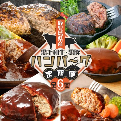 【全6回】鹿児島県産黒毛和牛・黒豚ハンバーグ定期便　K000-T2316