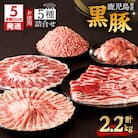 【5営業日以内に発送】鹿児島県産黒豚お徳用 5種詰合せ(2.2kg)　K134-010
