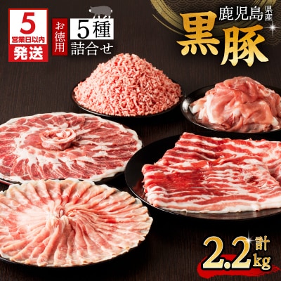 【 期間限定 生活応援 】【5営業日以内に発送】鹿児島県産黒豚お徳用 5種詰合せ(2.2kg)