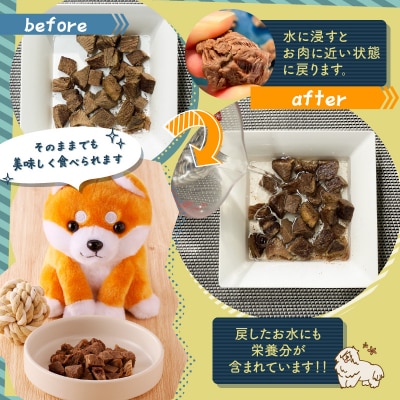【増量】犬用　鹿肉フリーズドライ(23g)　K223-001