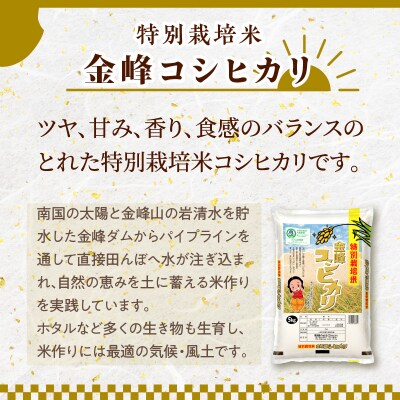 令和5年産特別栽培米金峰コシヒカリ5kg　K226-001_13