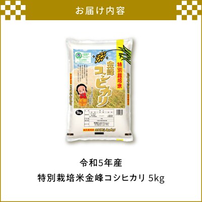 令和5年産特別栽培米金峰コシヒカリ5kg　K226-001_13