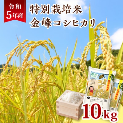 令和5年産特別栽培米金峰コシヒカリ10kg　K226-001_14