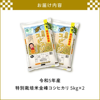 令和5年産特別栽培米金峰コシヒカリ10kg　K226-001_14