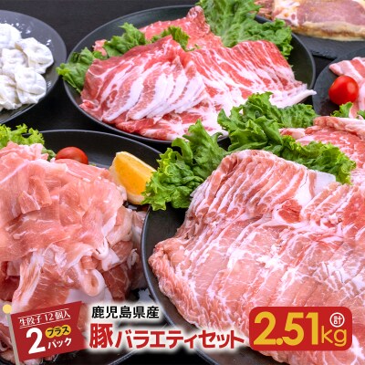 鹿児島県産豚バラエティセット2.51kg+生餃子2P K208-014
