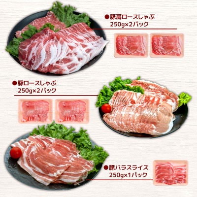 鹿児島県産豚バラエティセット2.51kg+生餃子2P K208-014