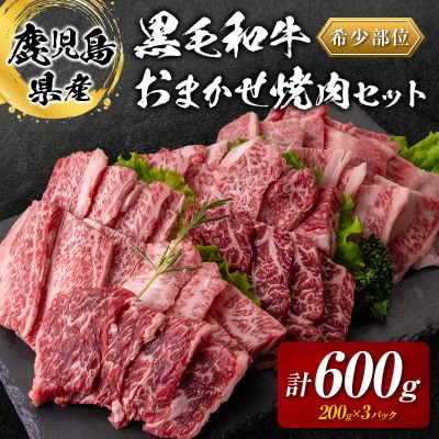 鹿児島県産黒毛和牛おまかせ焼肉600g　K002-046