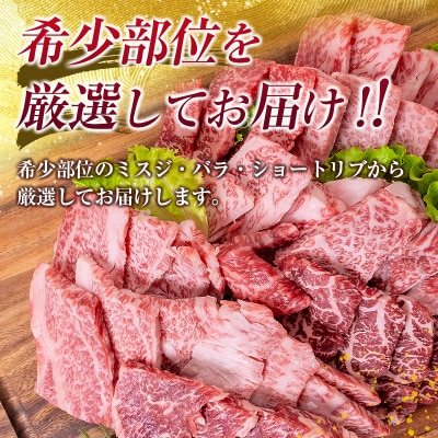 鹿児島県産黒毛和牛おまかせ焼肉600g　K002-046