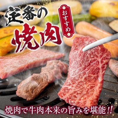 鹿児島県産黒毛和牛おまかせ焼肉600g　K002-046