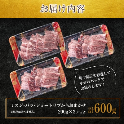 鹿児島県産黒毛和牛おまかせ焼肉600g　K002-046