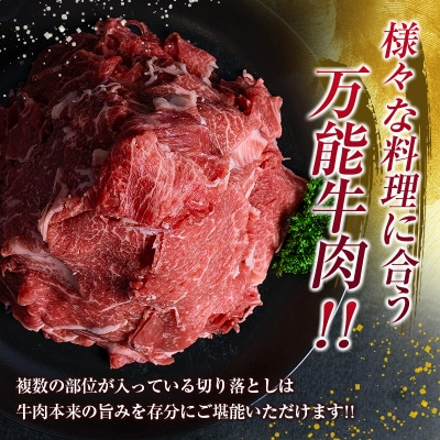 鹿児島県産黒毛和牛切落し900g　K002-049
