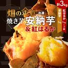 焼き芋安納芋 1kg 焼き芋紅はるか 2kg　K181-001_02