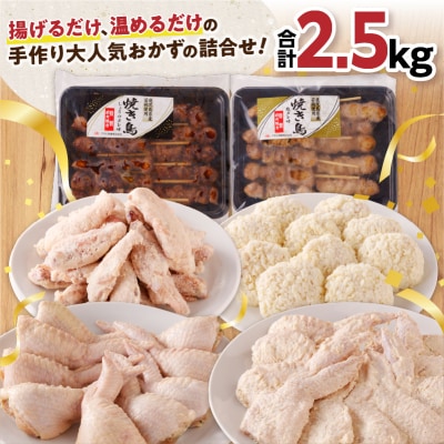 【大容量合計2.5kg】ボリュームたっぷりおかず大満足6品詰合わせセット　K219-002