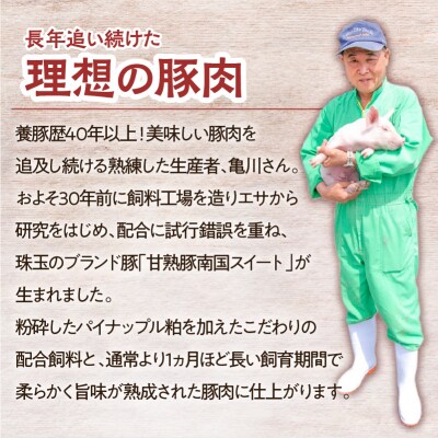 南国スイート豚生餃子144個　K002-031
