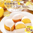 桜島檸檬のレモンケーキ　K236-001