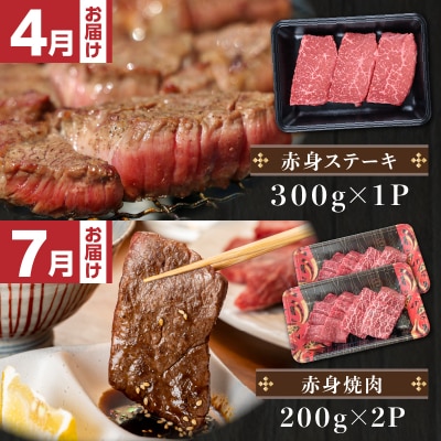 【 生活応援 黒毛和牛焼きぎゅーざ1P付き 】 期間限定【全4回】A5等級鹿児島黒毛和牛赤身定期便