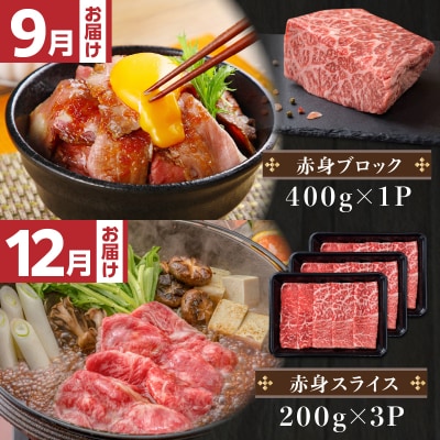 【 生活応援 黒毛和牛焼きぎゅーざ1P付き 】 期間限定【全4回】A5等級鹿児島黒毛和牛赤身定期便