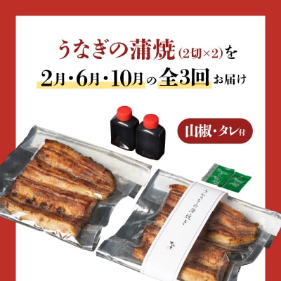 【全3回定期便】うなぎ料理専門店「松重」並/うなぎ蒲焼2切(1尾)×2パック(2・6・10月お届け)